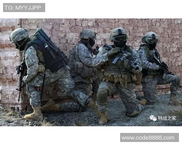 深入分析上海飞盘队的进攻策略与战术特点探秘